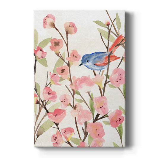 Cherry Blossom Perch II - Canvas Art Print