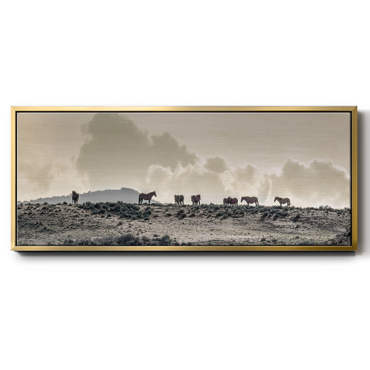 Wild Horse Ridge - Floater Framed Canvas Print