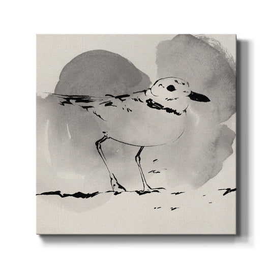 Inky Plover I - Canvas Art Print