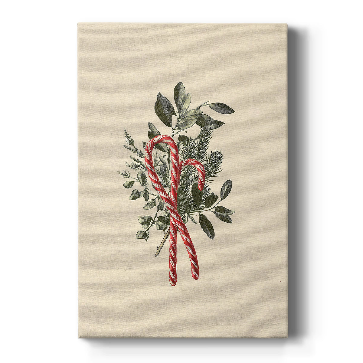 Twilight of Sugar Fir - Canvas Art Print