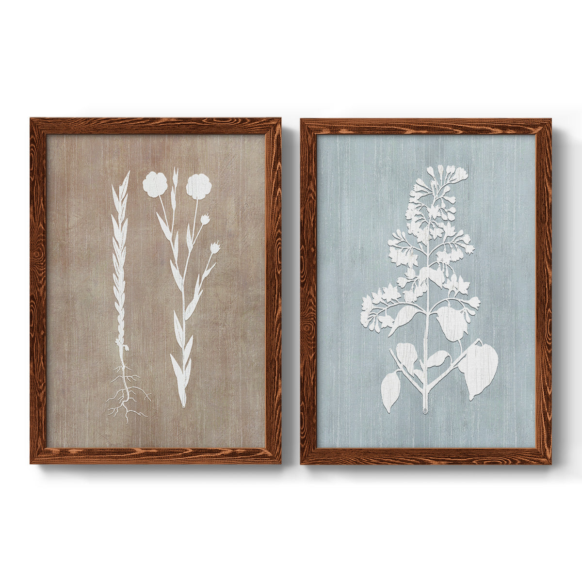 Botany Beauty III - Premium Framed Canvas 2 Piece Set - Ready to Hang