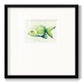 Speckled Freshwater Fish I - Double Matboard Framed Print