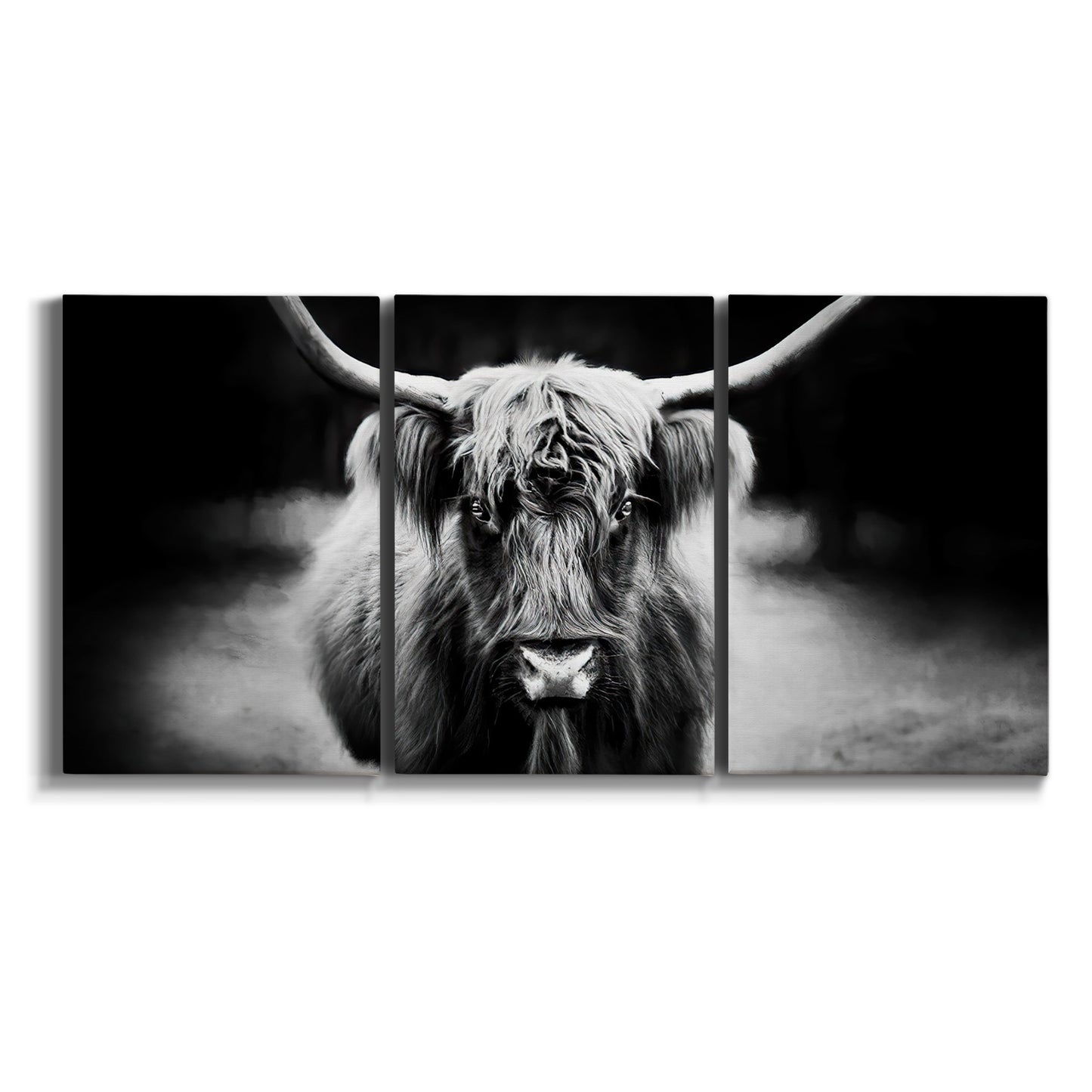 Three-panel canvas wall art featuring black and white cattle portrait on white background.