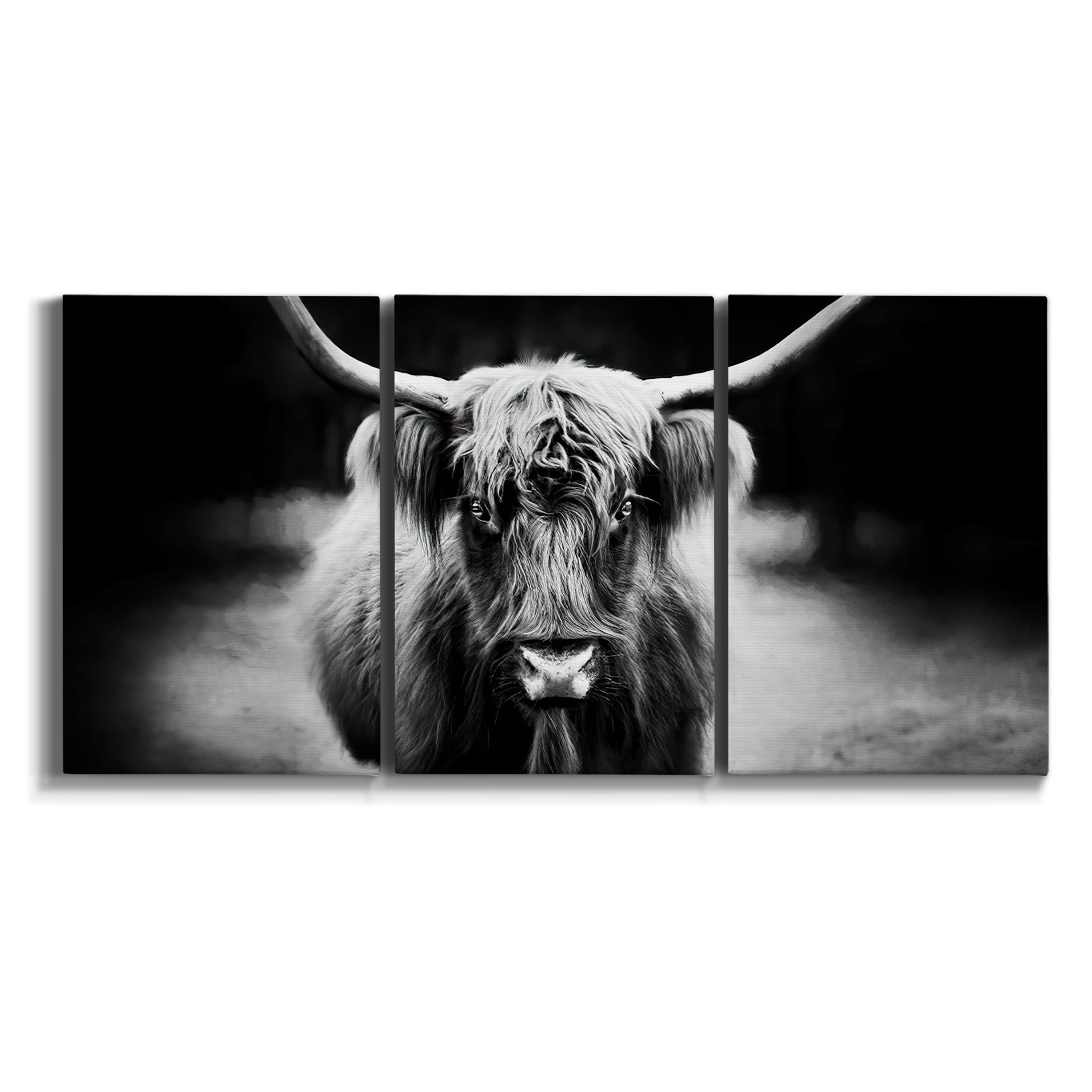Three-panel canvas wall art featuring black and white cattle portrait on white background.