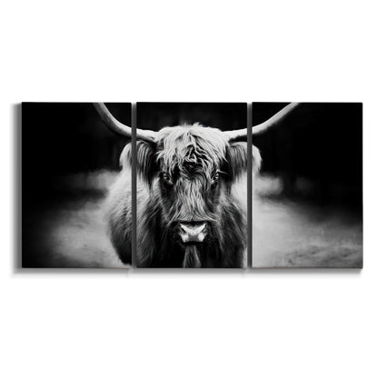 Three-panel canvas wall art featuring black and white cattle portrait on white background.