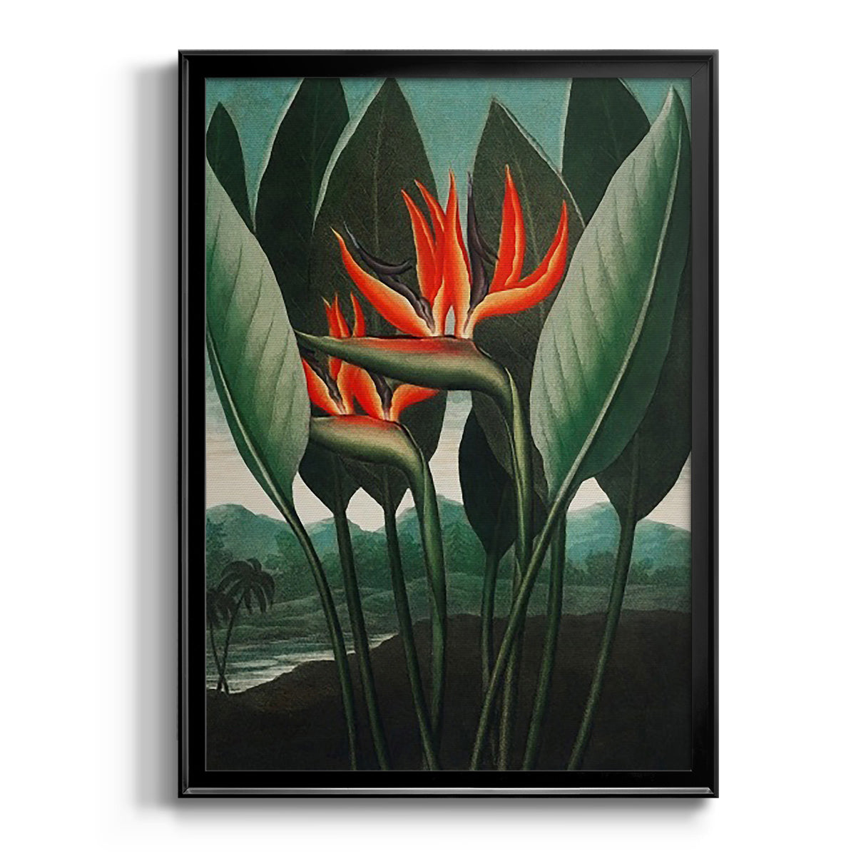 Temple of Flora IV - Modern Framed Canvas Print