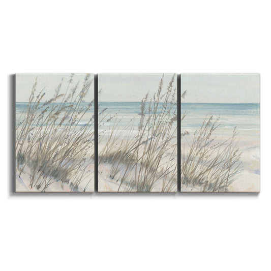 Three-panel canvas wall art featuring beach grass along shoreline on white background.