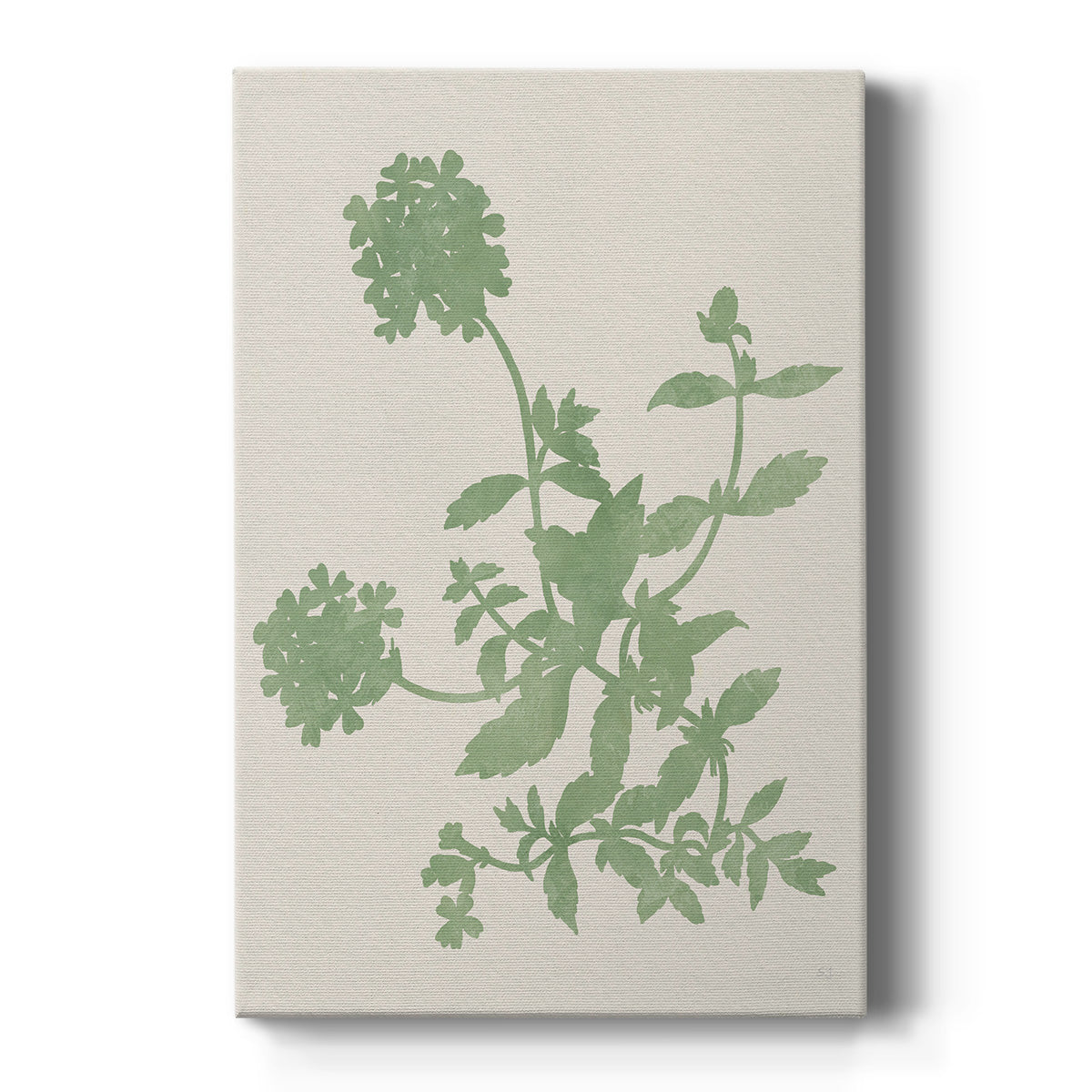 Vintage Garden II Premium Gallery Wrapped Canvas - Ready to Hang