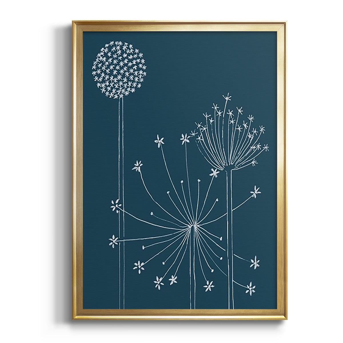 Graphic Alliums I - Modern Framed Canvas Print