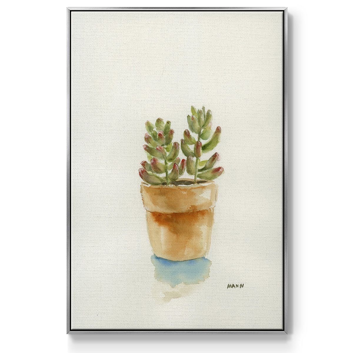 Succulent III - Framed Premium Gallery Wrapped Canvas L Frame - Ready to Hang