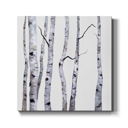 Birch Trees I - Canvas Art Print