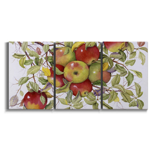 Three-panel canvas wall art featuring apples hanging from branch on white background.