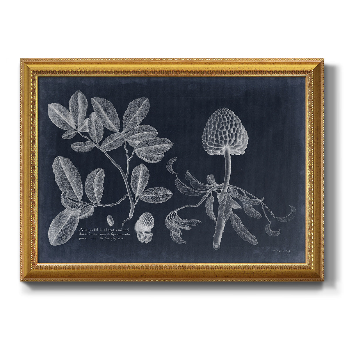 Foliage on Navy II Premium Framed Canvas- Ready to Hang