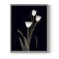 Tulip Pose I - Restickable Framed Art Print
