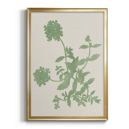 Vintage Garden II - Modern Framed Canvas Print