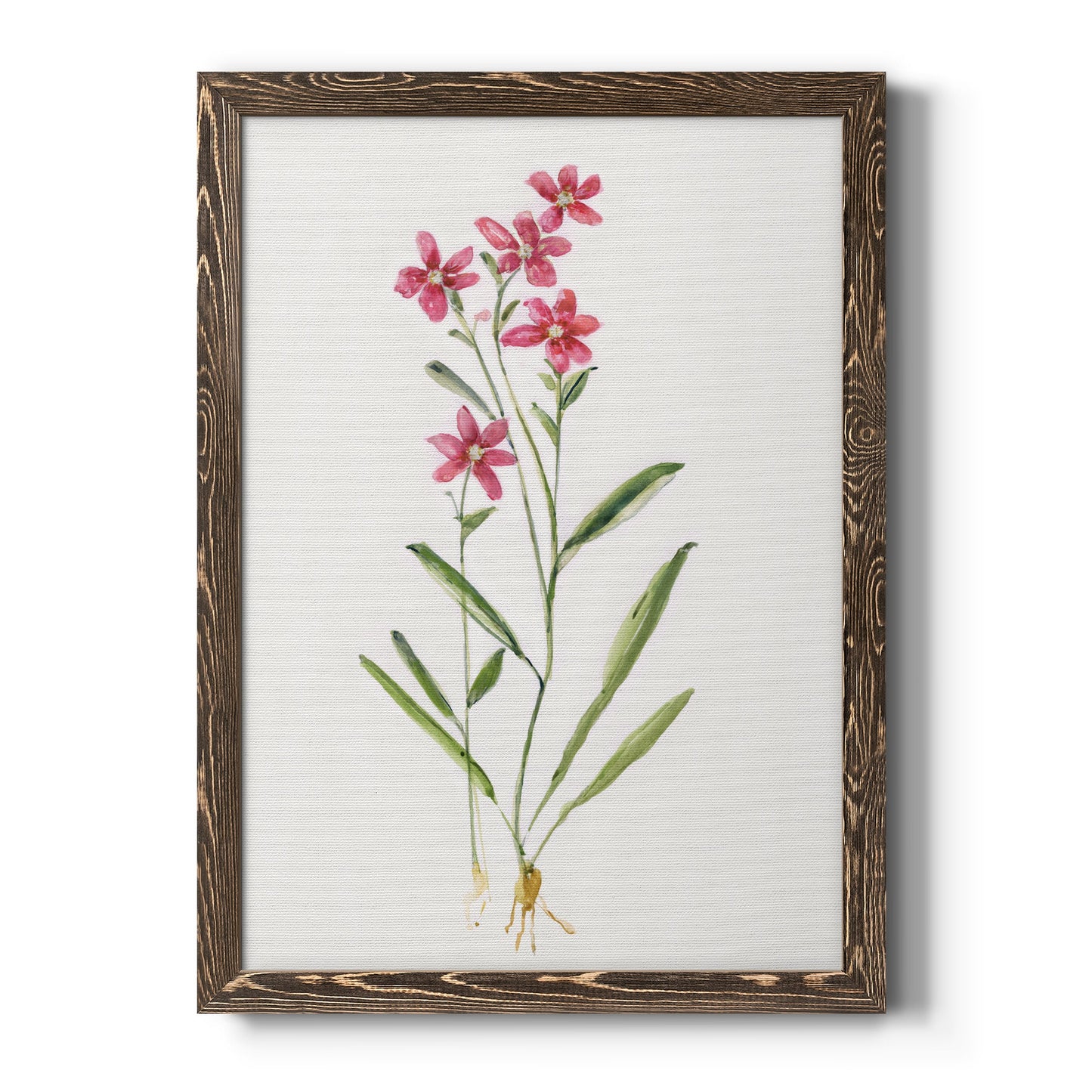 Delicate Pink II - Premium Canvas Framed in Barnwood - Ready to Hang