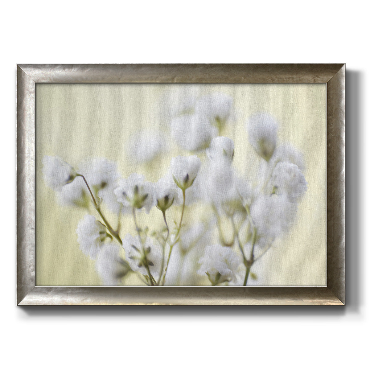 Baby's Breath Study IV Premium Framed Canvas- Ready to Hang