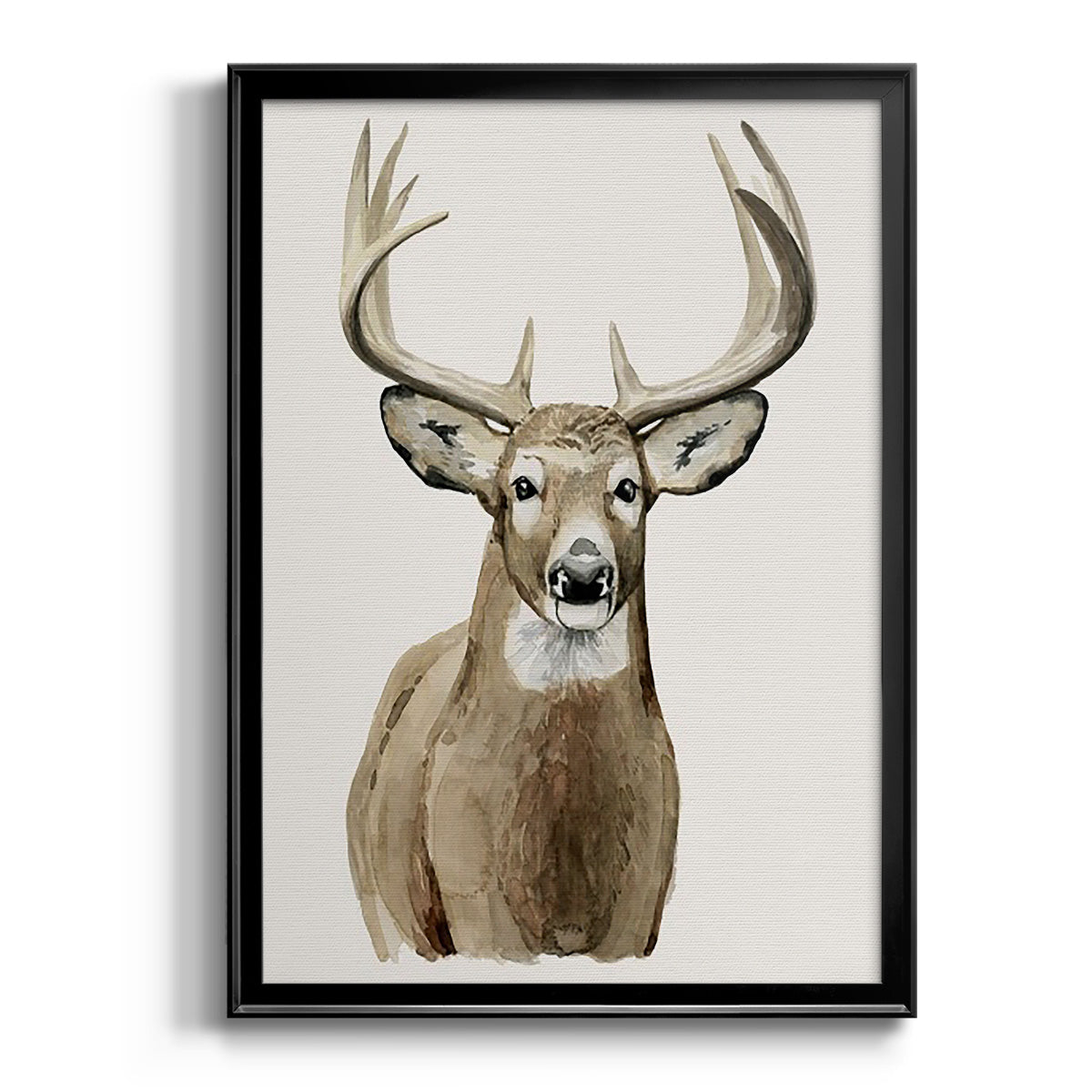 Handsome Whitetail II - Modern Framed Canvas Print