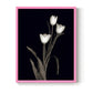 Tulip Pose I - Restickable Framed Art Print