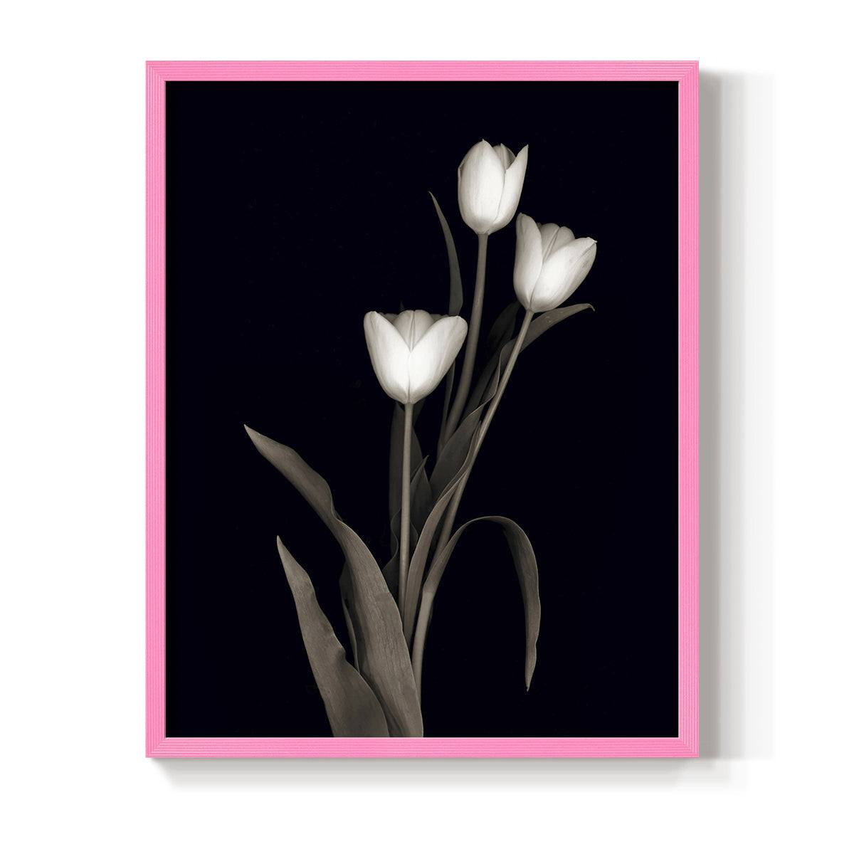 Tulip Pose I - Restickable Framed Art Print