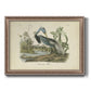 Audubons Louisiana Heron Premium Framed Canvas- Ready to Hang