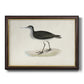 Morris Sandpipers VIII Premium Framed Canvas- Ready to Hang