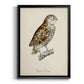 French Owls I - Modern Framed Canvas Print