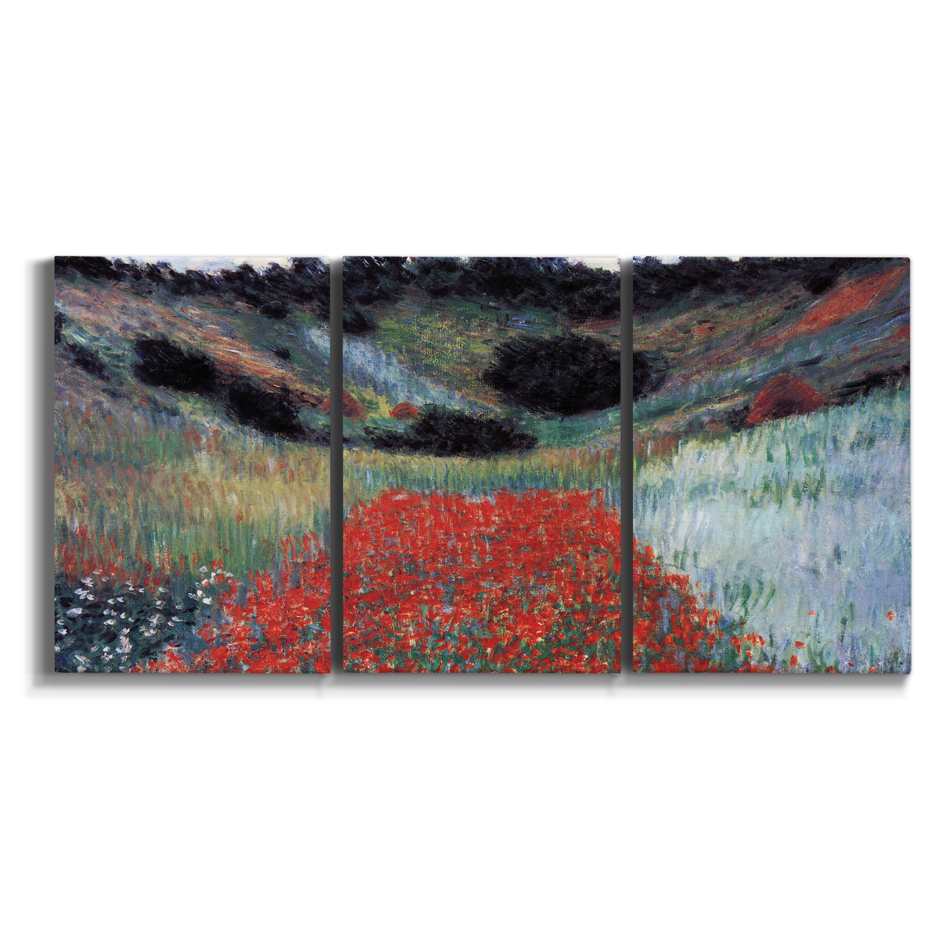 Three-panel canvas wall art featuring poppy field in shallow valley on white background.