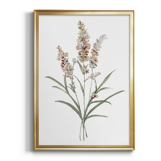 Dainty Botanical I - Modern Framed Canvas Print