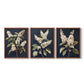 Floral Study Series LII - Restickable Framed Art Set