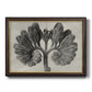 Blossfeldt Botanical VIII Premium Framed Canvas- Ready to Hang