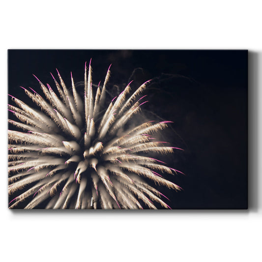 Sky Bloom - Canvas Art Print
