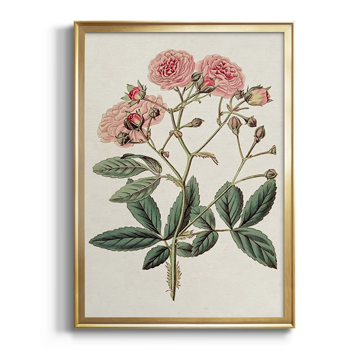 Pink Floral Mix V - Modern Framed Canvas Print