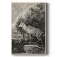 Woodland Deer II Premium Gallery Wrapped Canvas - Ready to Hang