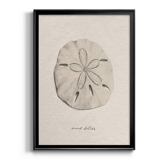 Shore Treasure Study III - Modern Framed Canvas Print