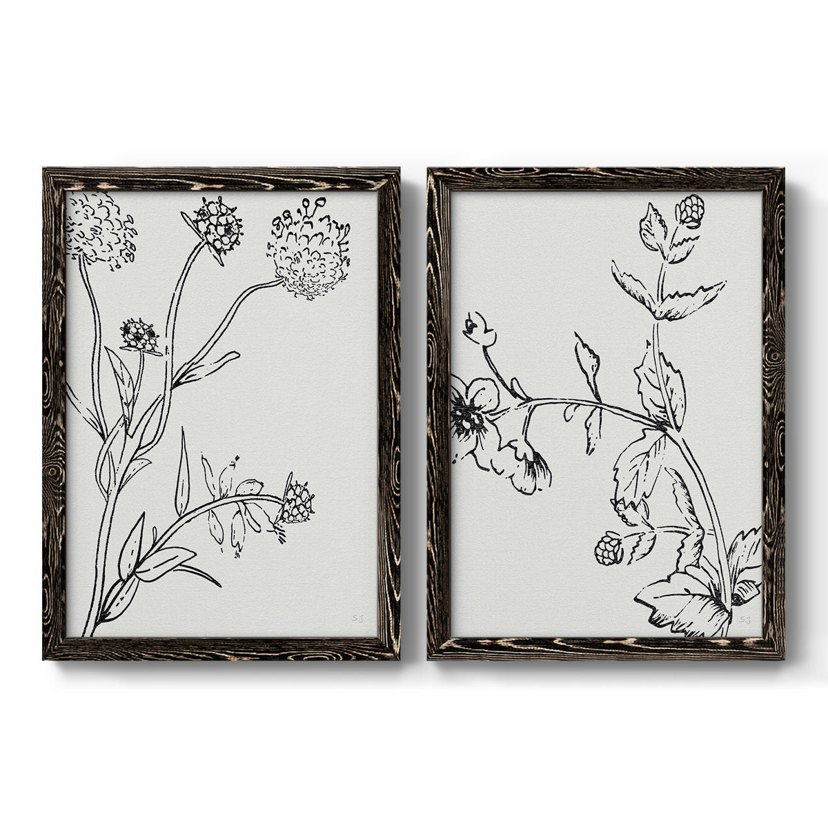 Botanical Study I   - Premium Framed Canvas 2 Piece Set - Ready to Hang