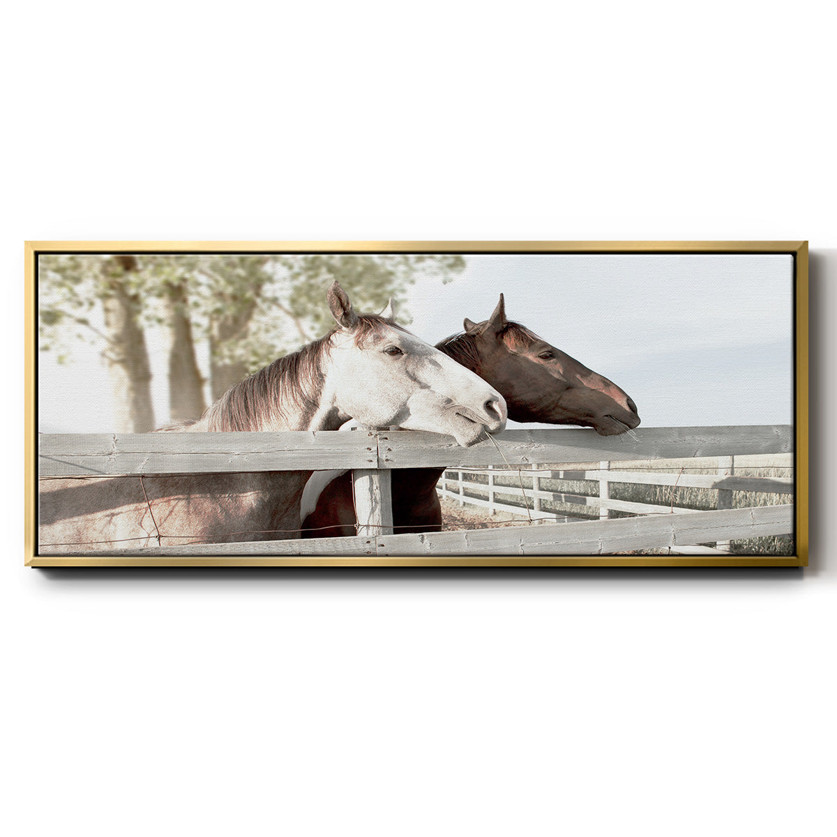 Friendly Visit - Floater Framed Canvas Print