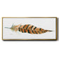 Tail Feather I - Floater Framed Canvas Print