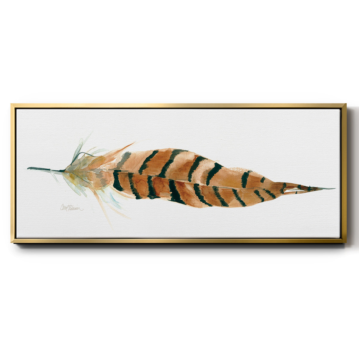 Tail Feather I - Floater Framed Canvas Print