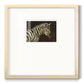Striped Pajamas - Double Matboard Framed Print