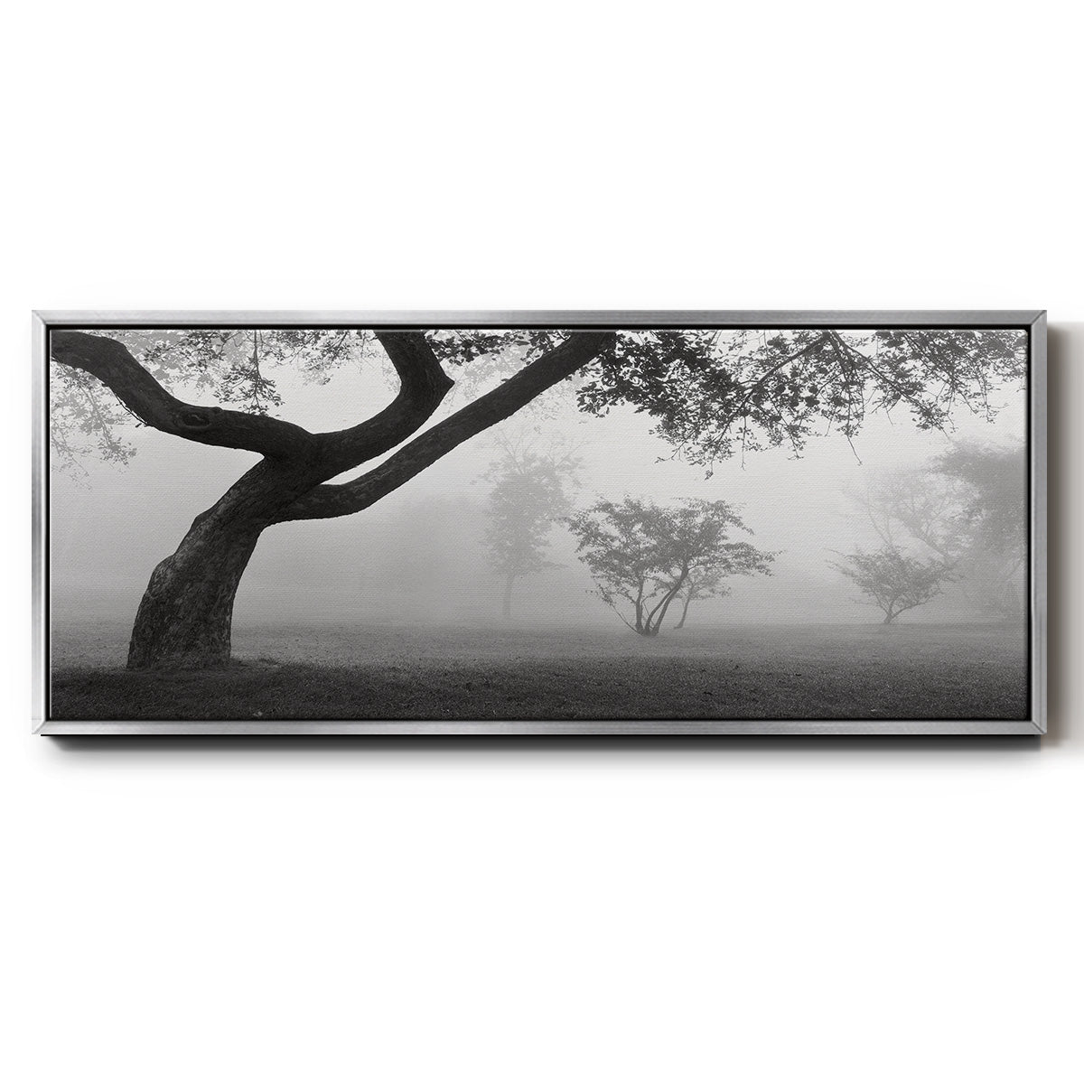 Morning Mist, Farmington Hills, Michigan - Floater Framed Canvas Print