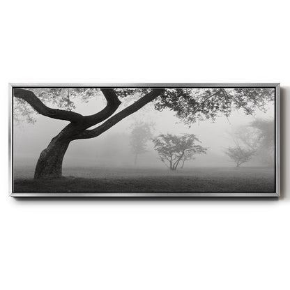 Morning Mist, Farmington Hills, Michigan - Floater Framed Canvas Print