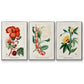 Turpin Tropical Botanicals VI - Framed Premium Gallery Wrapped Canvas L Frame 3 Piece Set - Ready to Hang