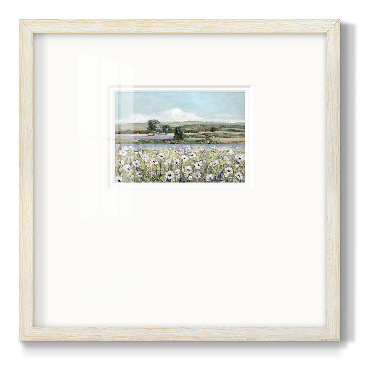 Vintage Poppy Valley Premium Framed Print Double Matboard