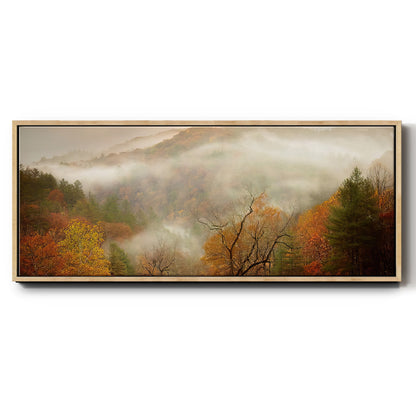 Photography Study Autumn Mist - Floater Framed Canvas Print