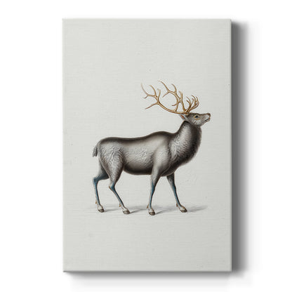 Silver Blessing - Canvas Art Print