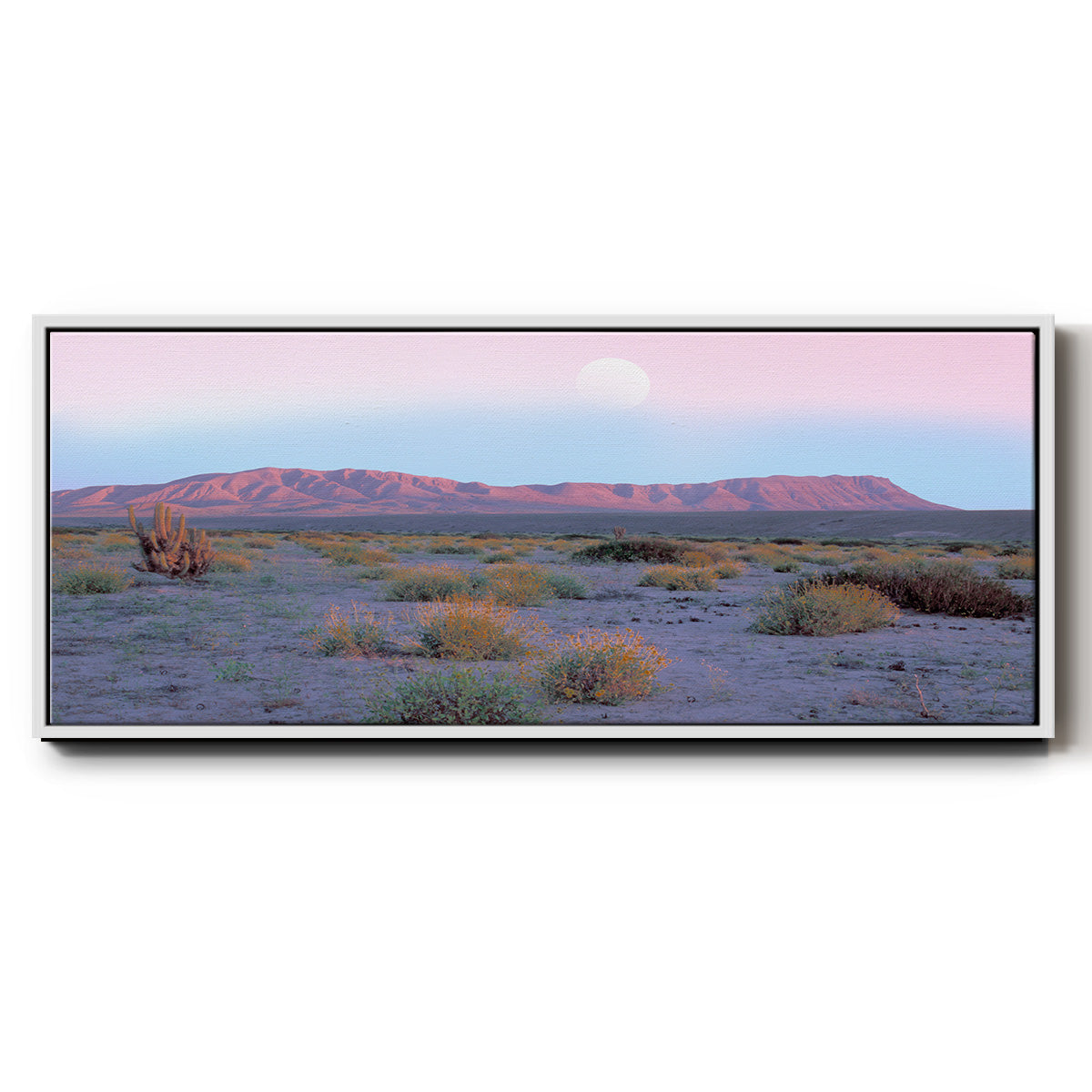 Vallenar Atacama Desert - Floater Framed Canvas Print