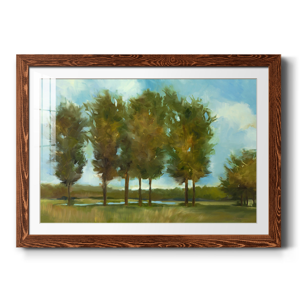 Tall Trees - Barnwood Framed Art Print