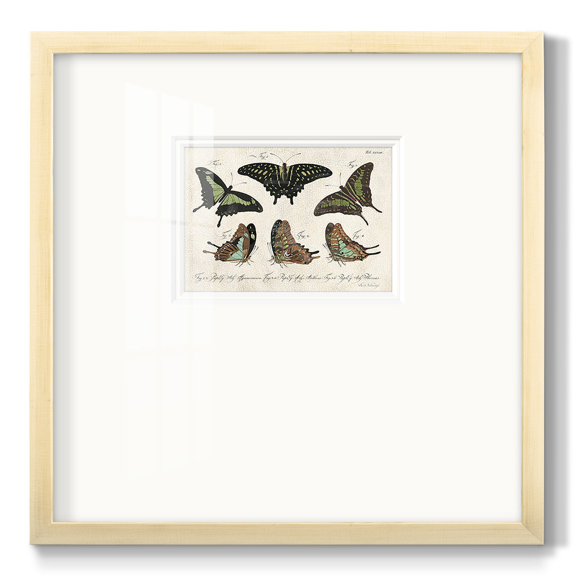 Crackled Butterflies II - Double Matboard Framed Print