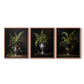 Floral Study Series LXXI - Restickable Framed Art Set